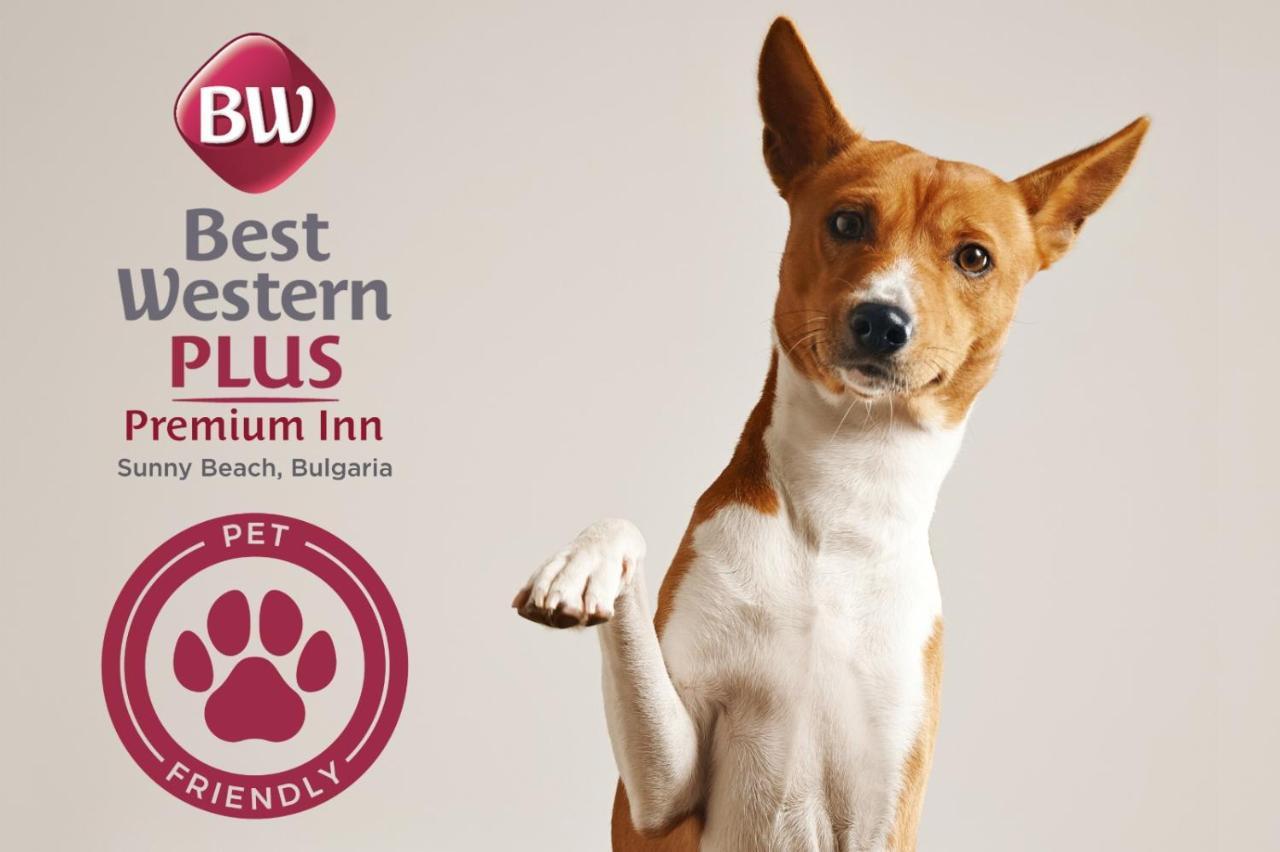 Best Western Plus Premium Inn Slantchev Briag Extérieur photo